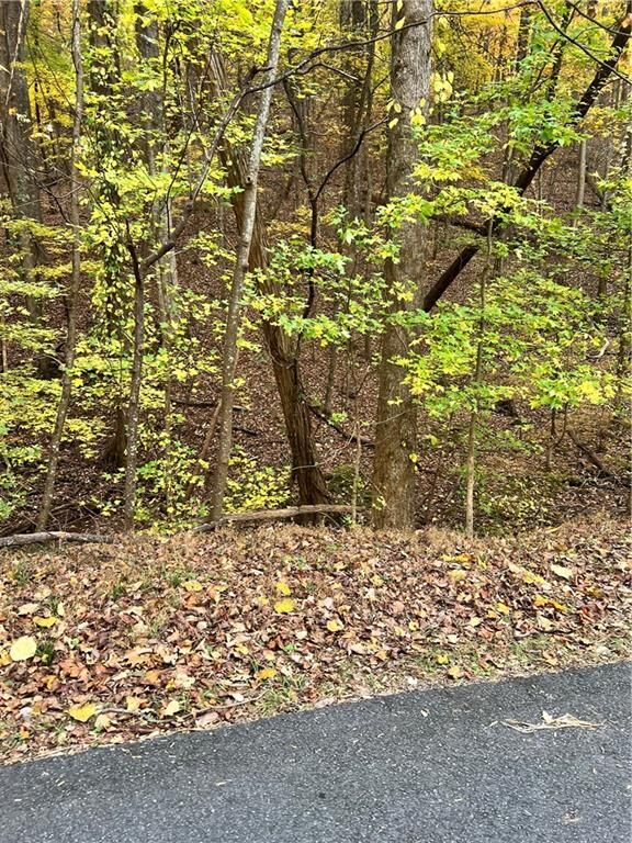 Property Photo:  3364 Crippled Oak Trail  GA 30143 