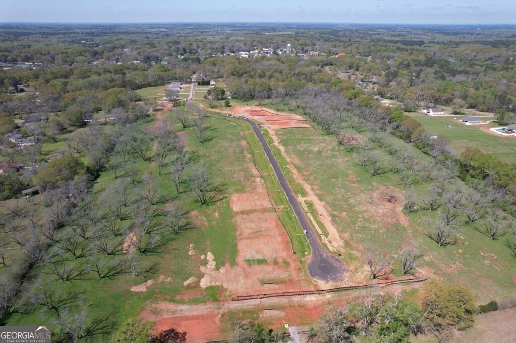 Property Photo:  148 Chinaberry Street  GA 31822 