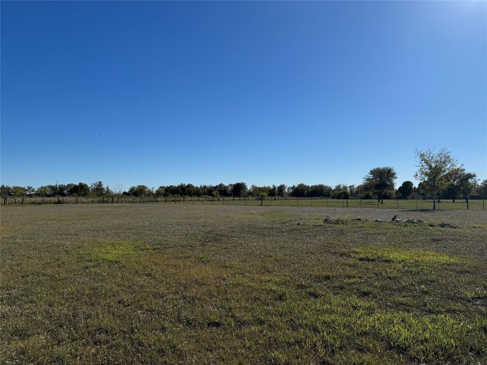 Property Photo:  Lot 12 Mesquite Road  TX 77485 