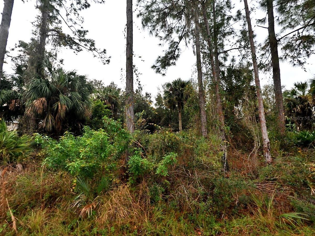 Property Photo:  Cissus Avenue  FL 34288 