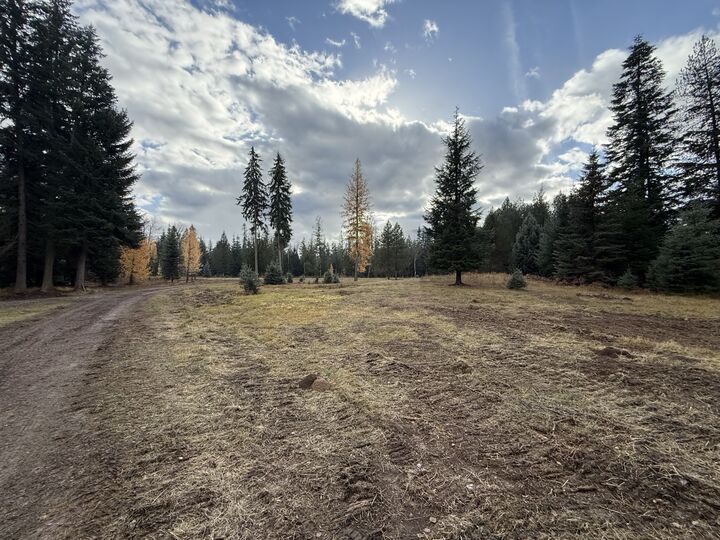 Property Photo:  489 Kern Road  MT 59935 