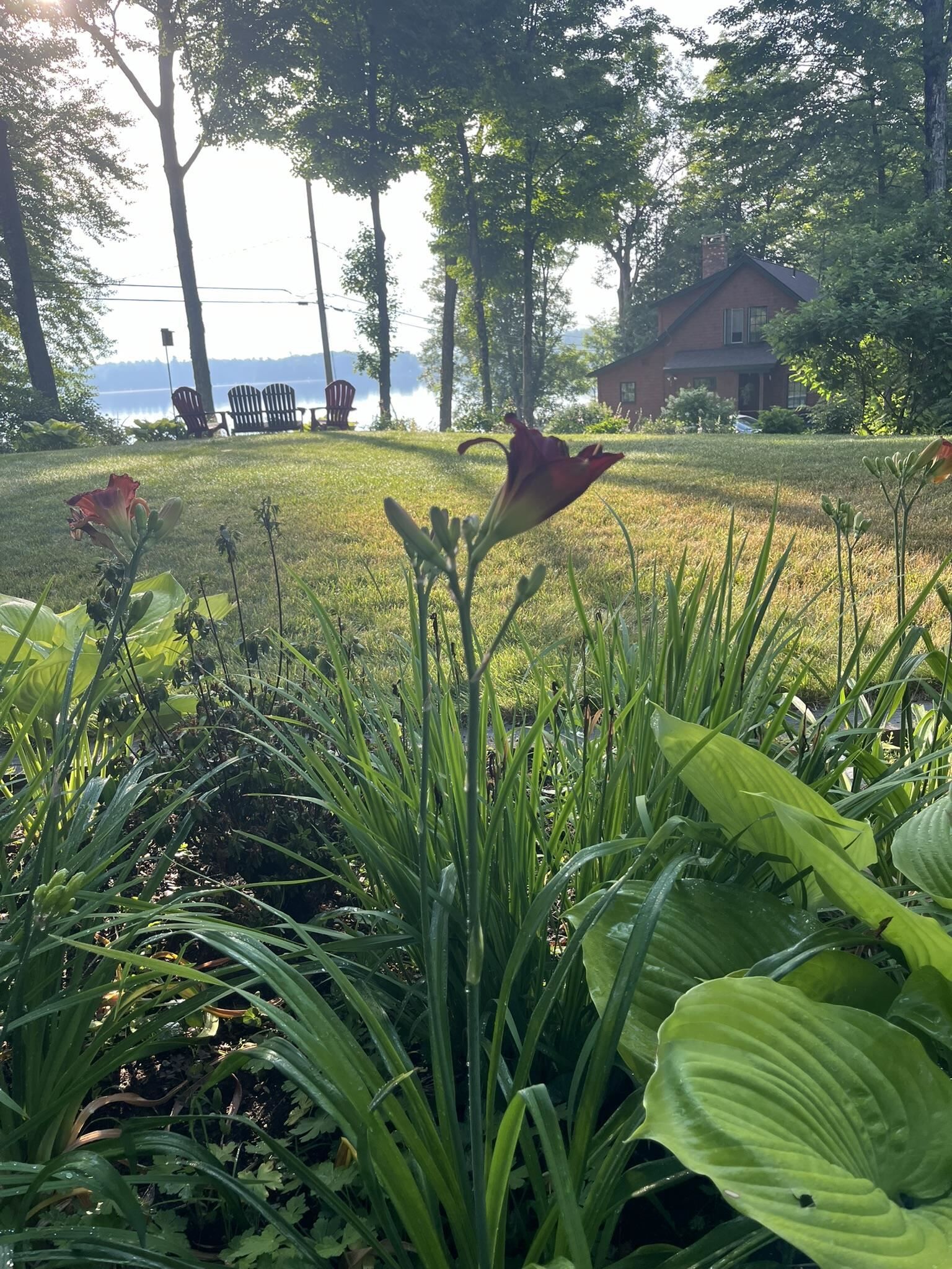 Property Photo: 586 Bunker Road NH 03257