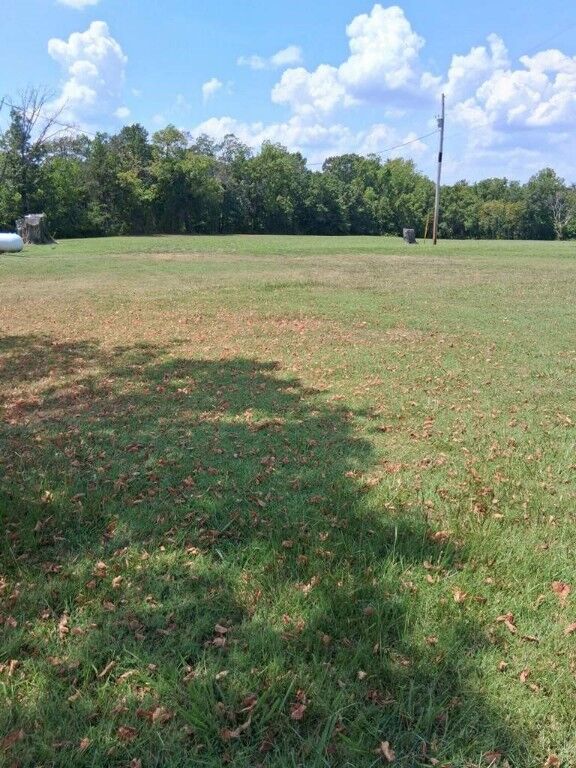 Property Photo: Walnut Street MO 65745