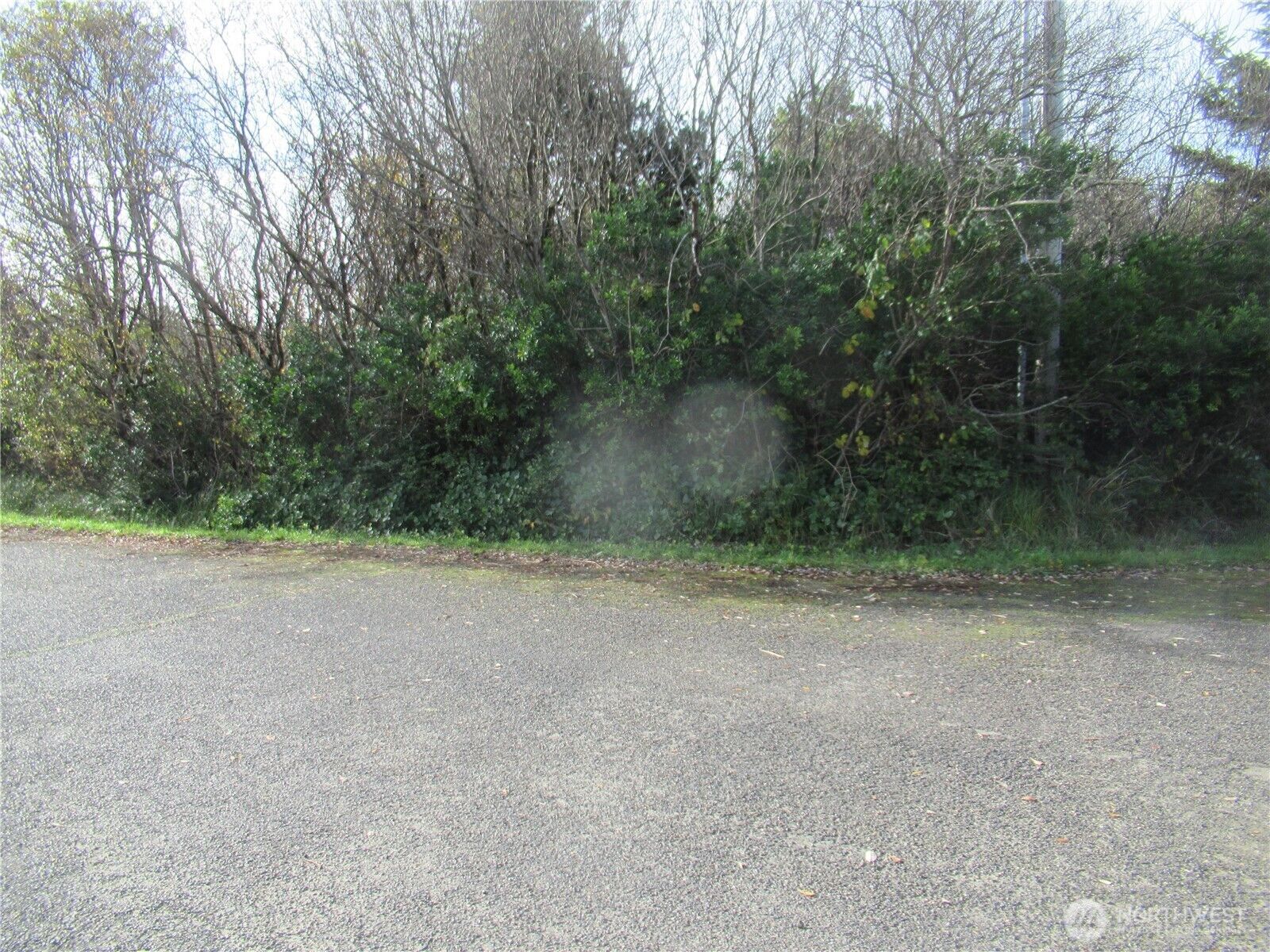 Property Photo: 16 Driftwood Drive WA 98569