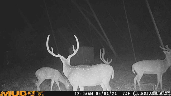 Property Photo:  Lot 2 Live Oak Ridge  TX 78003 