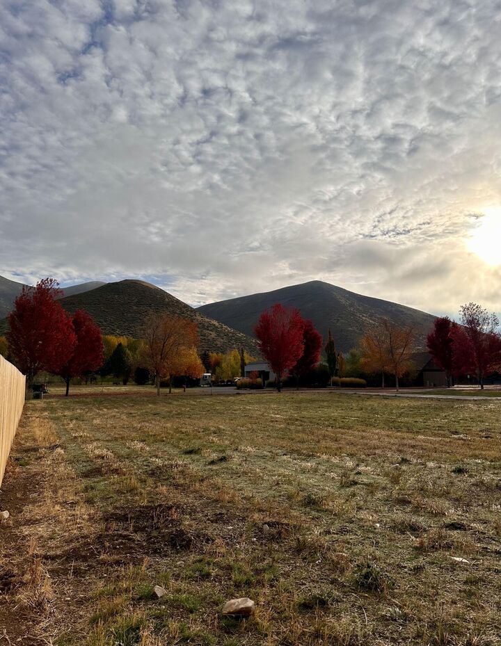 Property Photo:  731 Cd Olena Dr  ID 83333 