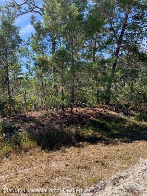 Property Photo:  1222 Cockatoo Avenue  FL 33852 