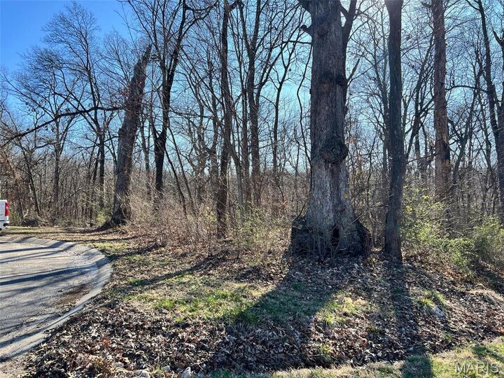 Property Photo:  4 Acres Oak Ridge Pond Court Road  MO 63401 