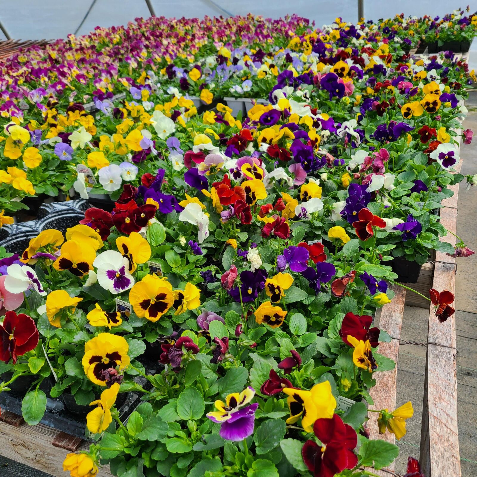 Property Photo: 645 S Meridian Road MI 49247