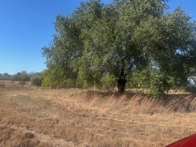 Photo de la propriété: 8913 S Peaceful Court TX 76048