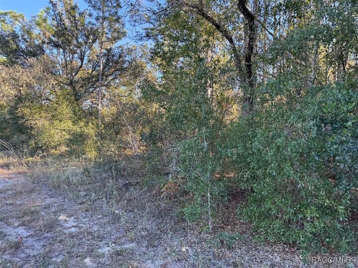 Property Photo:  3144 W Marie Drive  FL 34433 