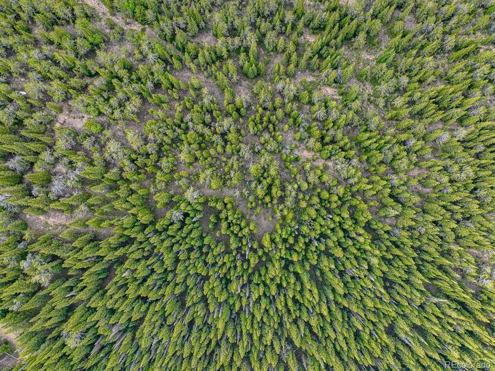 Property Photo:  111 Mosquito Creek Road  CO 80422 