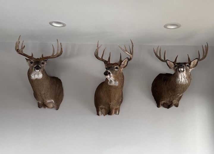 Property Photo: 32974 Potter Lane WI 53573