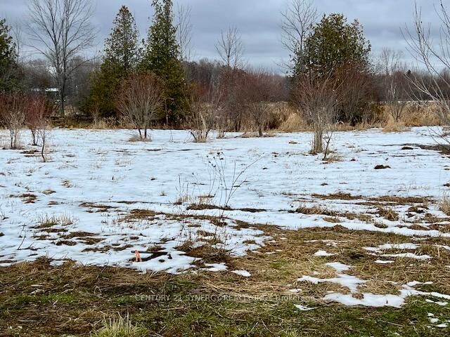 Property Photo:  000 Armstrong Road Lot #1  ON K7A 4S4 