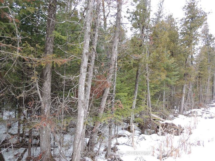 Property Photo:  Ptlt 20 Southgate 57 Side Road  ON N0G 2A0 