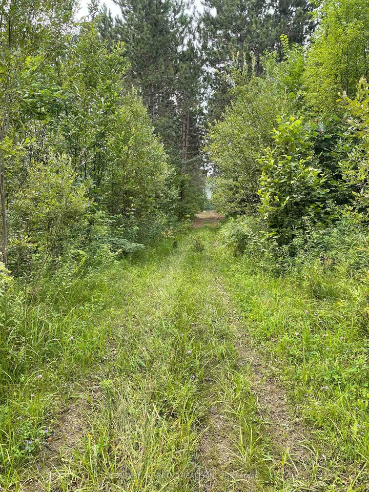 Photo de la propriété:  0 Government Road  ON K0J 1C0 