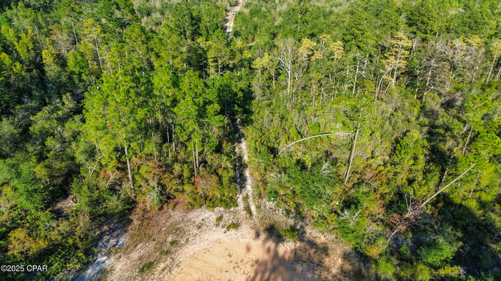 Property Photo:  Tbd Broadview Avenue  FL 32420 