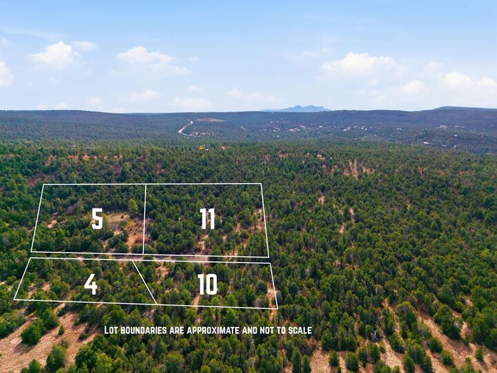 Property Photo: 10 Hayner Court NM 87059