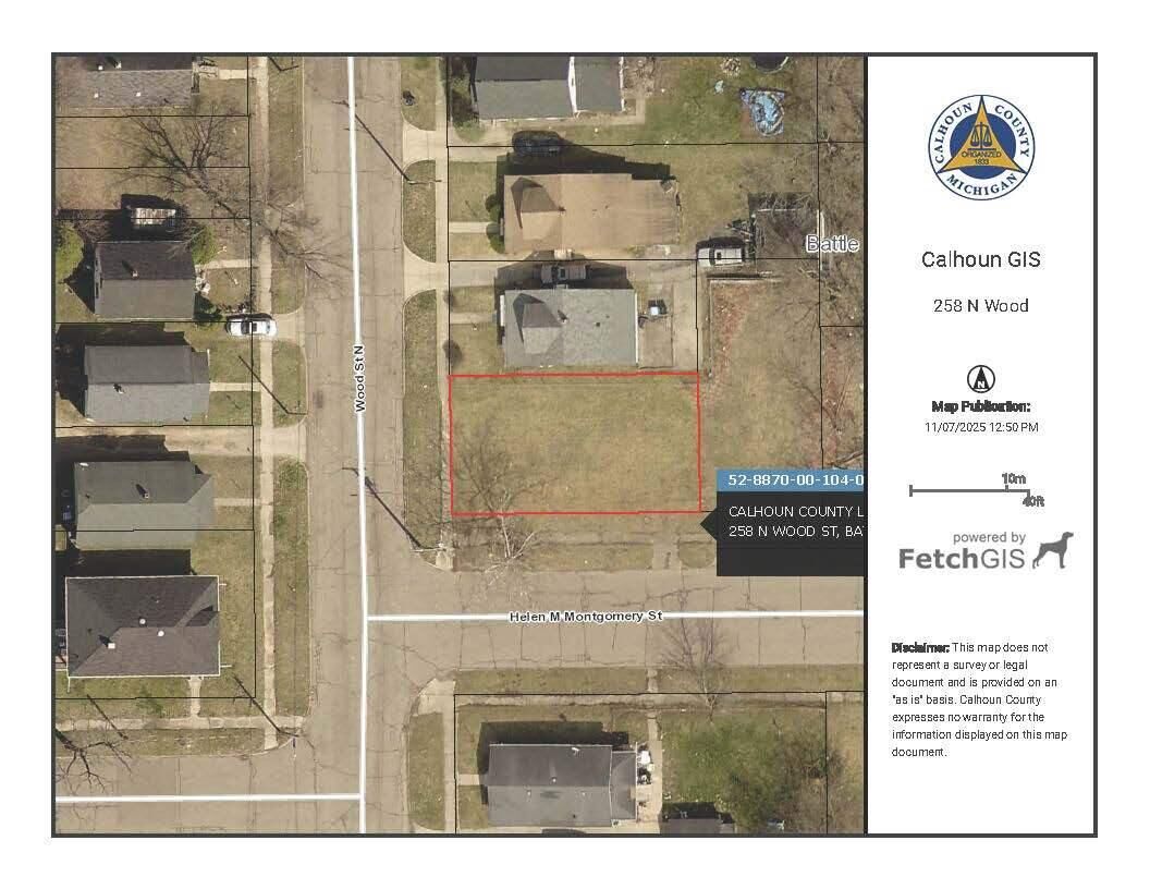Property Photo:  258 N Wood Street  MI 49037 