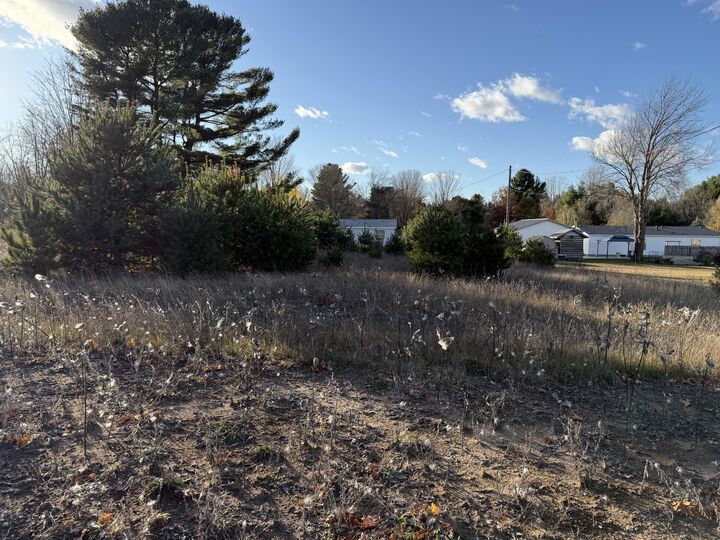 Property Photo: 001 Ninth Street MI 49614