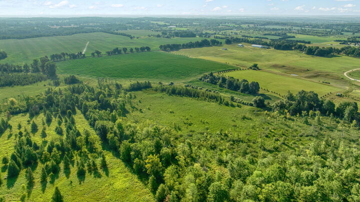 Property Photo:  34.75 Washburn Road  MI 49240 