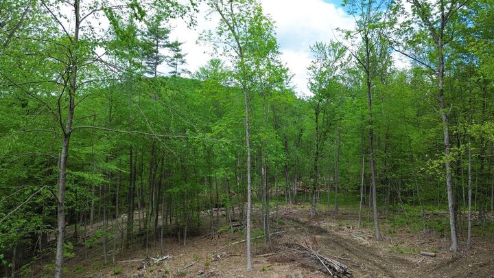 Property Photo:  Lot 26-4 Plain Road  NH 03451 
