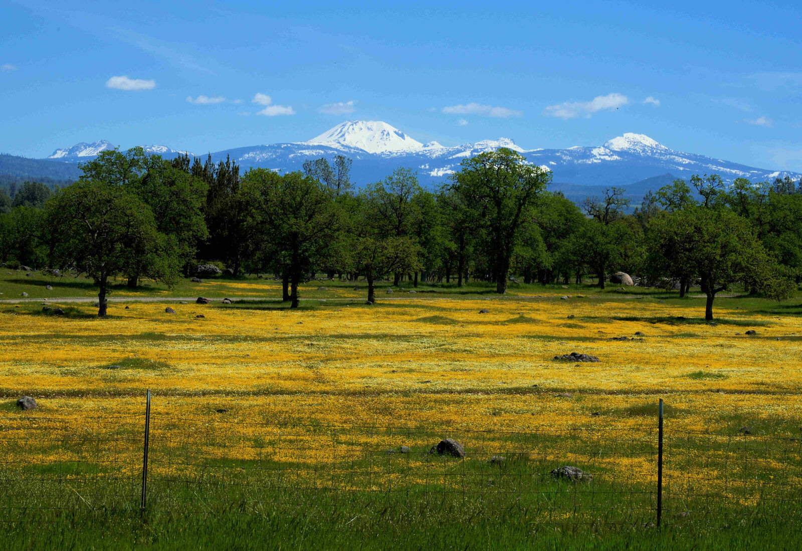 Property Photo:  21675 Wildcat Road  CA 96075 