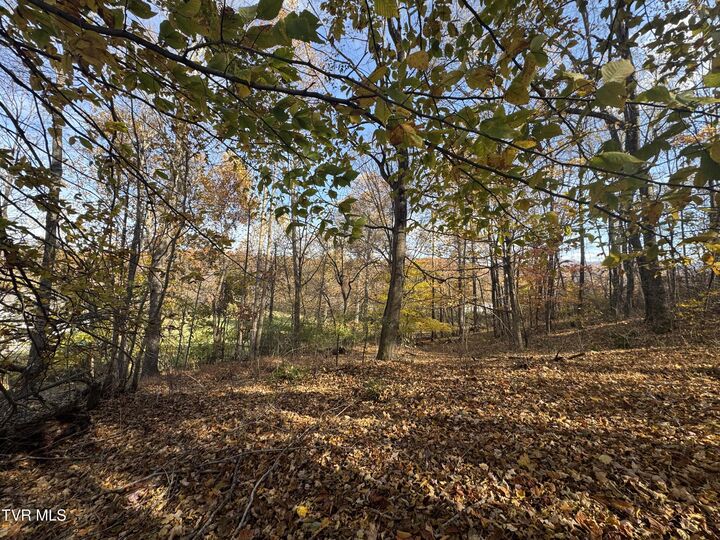 Property Photo: 119 Rhododendron Lane TN 37601