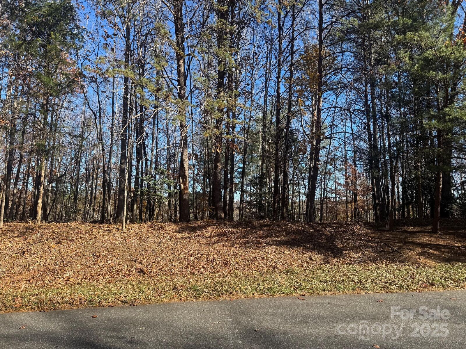 Property Photo:  6554 Willowbottom Road  NC 28602 