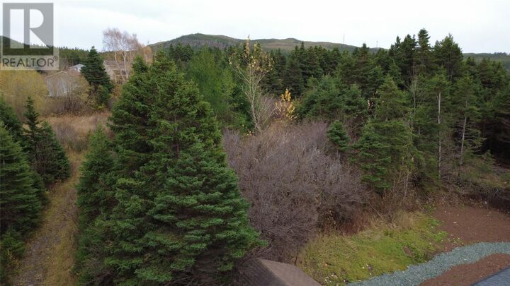 Property Photo:  96 Marine Drive  NL A0E 2M0 