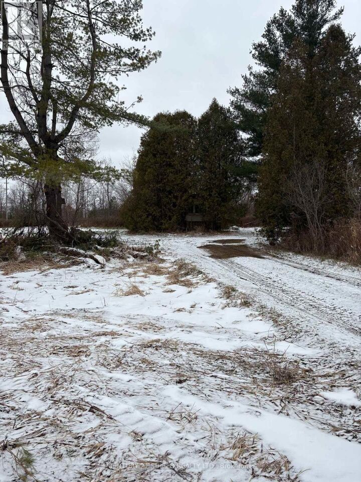 15557 Dixon Road  South Stormont ON K0C 1R0 photo