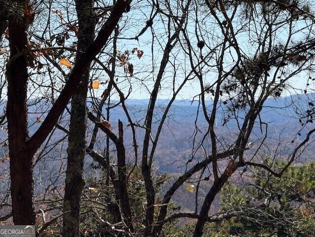 Property Photo:  0 John Call Road  GA 30175 