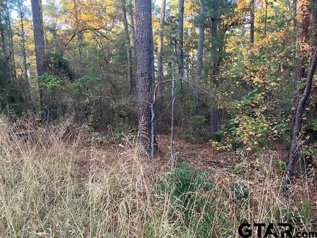 Property Photo:  1657 Pineview Dr  TX 75771 