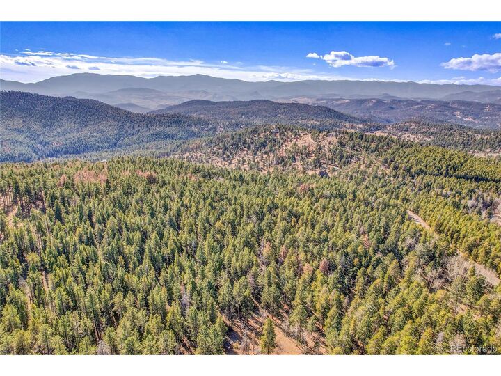 Property Photo:  27551 Molly Dr  CO 80433 