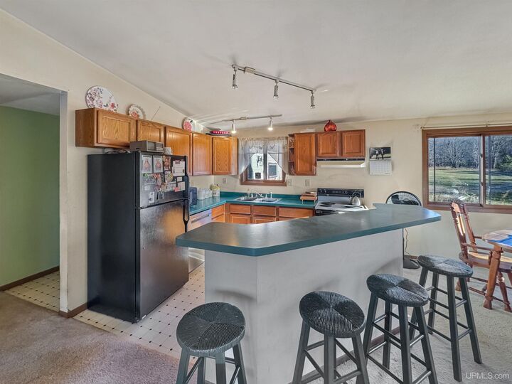 Property Photo: 154 Swan Lake Road MI 49920