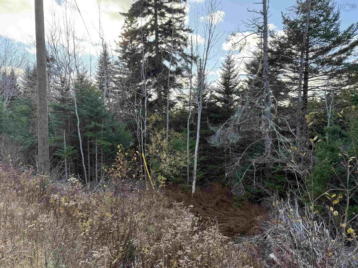 Property Photo:  Lot Highway 331  NS B4V 5Y6 