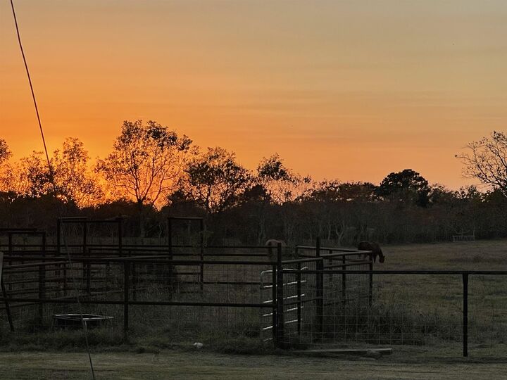 Property Photo:  16508 Wilber Rd.  TX 77622 