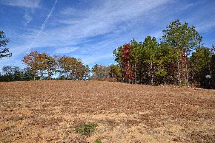 Property Photo:  310 Co Rd 1119  AL 35179 - VINEMONT 