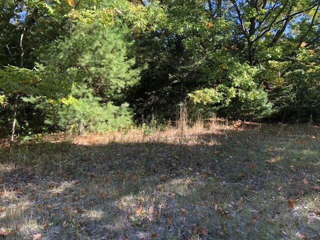 Property Photo:  Lots 2 &Amp 3 W Etherington Street  MI 49701 