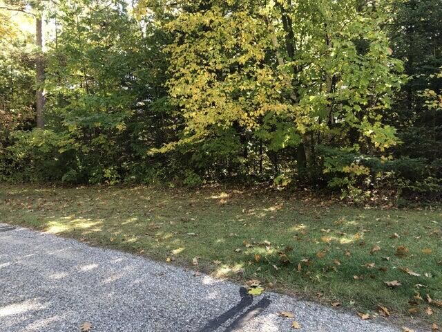 Property Photo: Lots 2 &Amp 3 W Etherington Street MI 49701