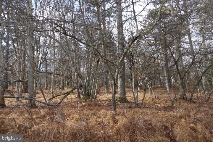 Property Photo:  Lot D1922 Old Stage Road  PA 18210 