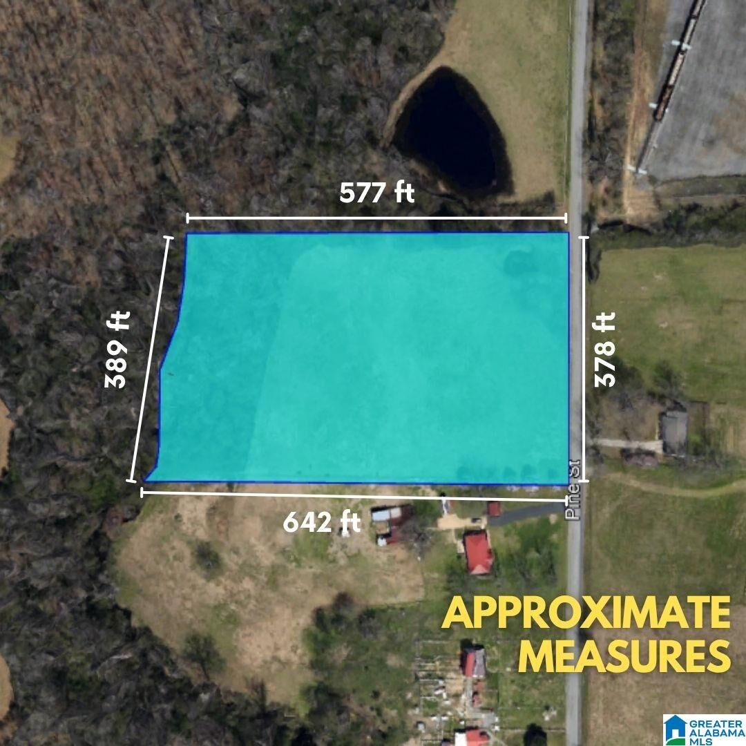 Property Photo:  0 Pine Street 0  AL 35950 