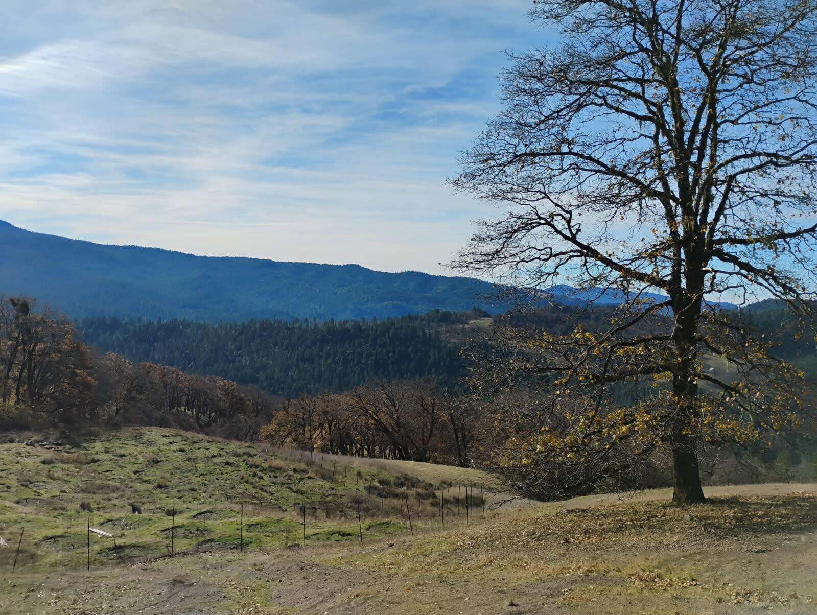 Property Photo: 11 Bronco Court CA 95526