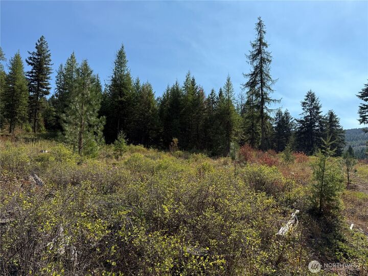 Property Photo:  0  St. Peter'S Creek Road  WA 99150 