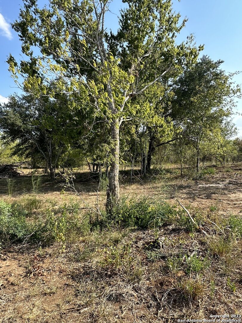Property Photo: 5894 Fm 1107 Unit B-Tract 1 TX 78160