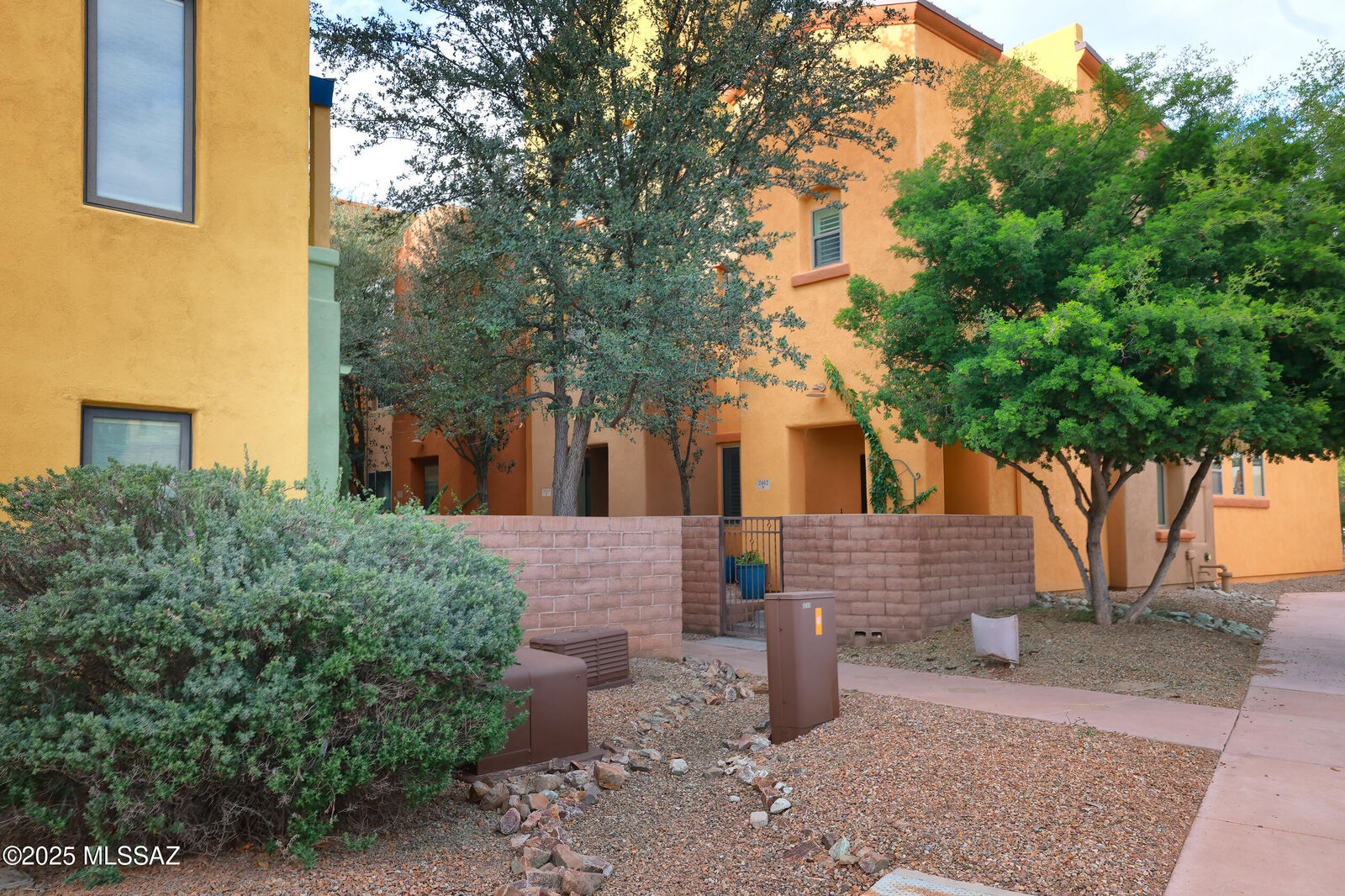 Property Photo:  2437 E Blue Diamond Drive  AZ 85718 