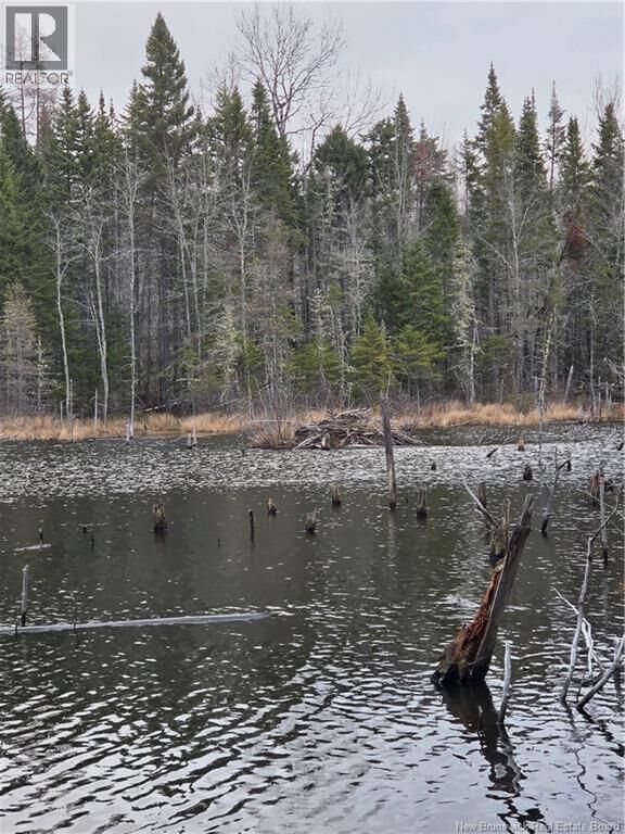 Property Photo:  Avon Road  NB E4B 3T3 