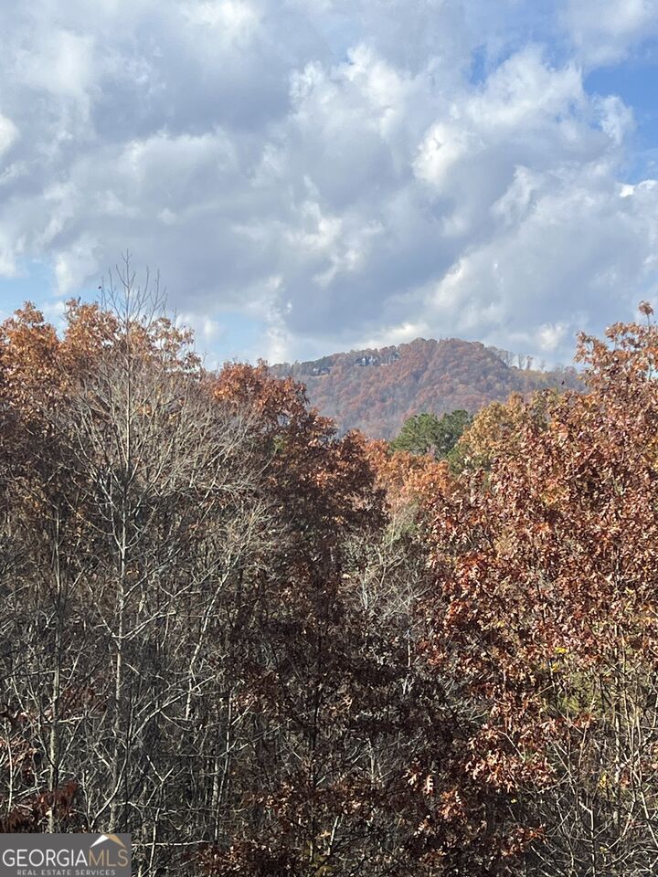 Property Photo:  0 Lakota Lane  GA 30559 