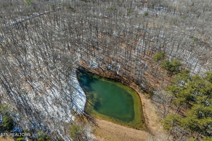 Property Photo:  5.66 Ac Martin Rd  TN 38555 