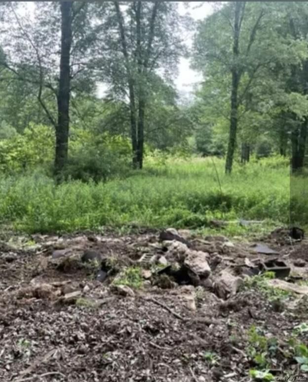 Property Photo: 358/80 Ferguson Lane NY 12790